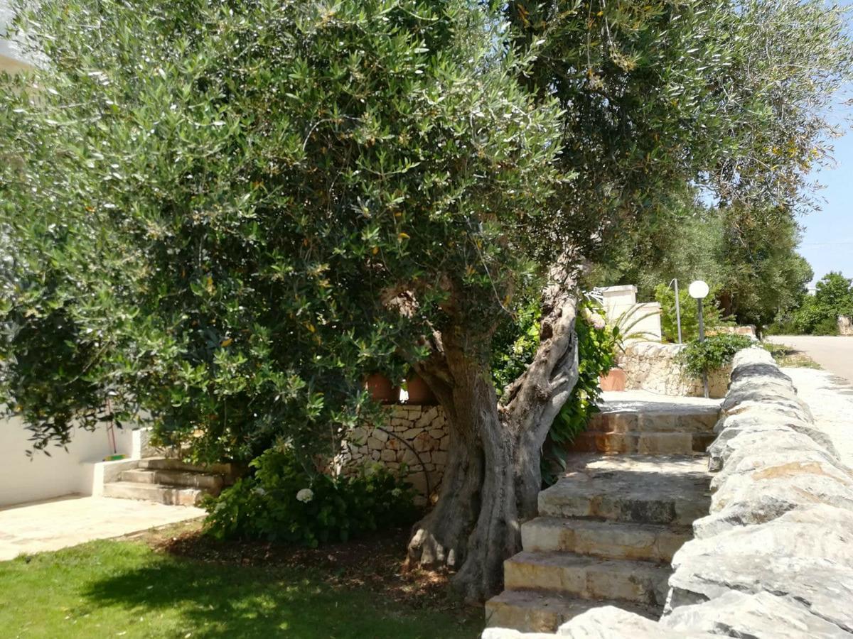 Aparthotel Residenza Aurora Ostuni Zewnętrze zdjęcie