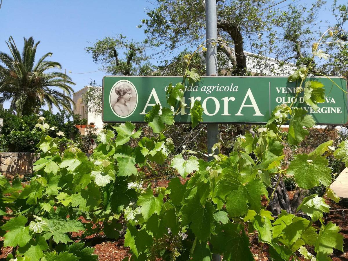 Aparthotel Residenza Aurora Ostuni Zewnętrze zdjęcie